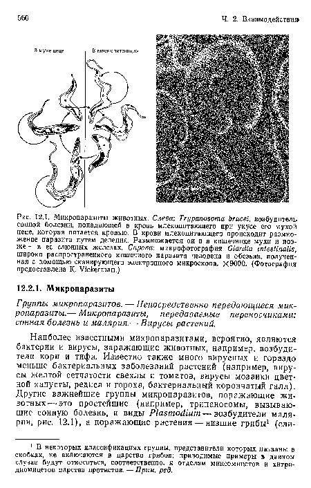 Группы микропаразитов. — Непосредственно передающиеся микропаразиты.— Микропаразиты, передаваемые переносчиками: сонная болезнь и малярия.— Вирусы растений.