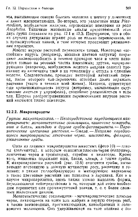 Одни из главных макропаразитов животных (фото 10) — глисты (гельминты), к которым относятся плоские черви (например, ленточные черви и трематоды), скребни и нематоды. Кроме того, животных поражают вши, блохи, клещи, а также грибы. К макропаразитам растений (рис. 12.6) относятся грибы, вызывающие настоящую и ложную мучнистую росу, ржавчину и головню; а также галлообразующие и минирующие насекомые и такие цветковые растения как повилика и заразиха. Как и в случае микропаразитов, здесь также можно выделить формы, передающиеся непосредственно и те, которым для этого необходим переносчик или промежуточный хозяин, т. е. с более сложным жизненным циклом.