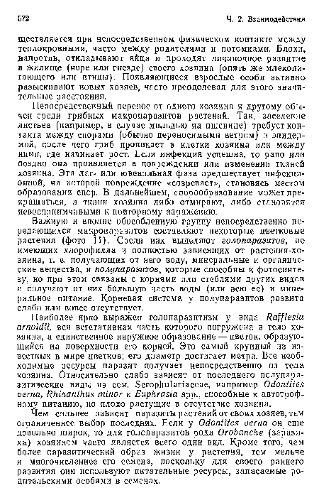 Важную и вполне обособленную группу непосредственно передающихся макропаразитов составляют некоторые цветковые растения (фото 11). Среди них выделяют голопаразитов, не имеющих хлорофилла и полностью зависящих от растения-хозяина, т. е. получающих от него воду, минеральные и органические вещества, и полупаразитов, которые способны к фотосинтезу, но при этом связаны с корнями или стеблями других видов и получают от них большую часть воды (или всю ее) и минеральное питание. Корневая система у полупаразитов развита слабо или вовсе отсутствует.