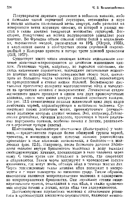 Существует много типов имеющих важное медицинское значение животных-макропаразитов со сложным жизненным циклом. Ленточные черви, например, во взрослом состоянии, являясь кишечными паразитами, поглощают питательные вещества хозяина непосредственно поверхностью своего тела, состоящего из большого числа члеников (проглоттид), нарастающих за прикрепленной к стенке кишки головой. Большинство дистальных проглоттид содержит многочисленные яйца и выводится из организма хозяина с экскрементами. Личиночные стадии жизненного цикла проходят в одном или двух промежуточных хозяевах, после чего снова следует инвазия основного хозяина. На рис. 12.5 схематически показан жизненный цикл двух видов ленточных червей, паразитирующих в кишечнике человека. Существуют также ленточные черви, промежуточным (личиночным) хозяином которых служит человек. Это, например,Echino-coccus granulosus, личинки которого, проникнув в ткани различных внутренних органов, особенно печени и легких, развиваются в огромные пузыри (кисты).