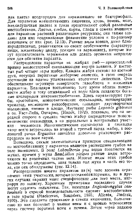 Возможно, самым замечательным примером специализации по местообитаниям у паразитов является размещение грибов на теле насекомых. В роде Laboulbenia ряд видов поселяется на жуках, причем у жука Bemlidioti picipes разные виды встречаются на различных частях тела. Многие виды этих грибов можно точно определить, зная только пол жука и часть его тела, где они обнаружены (рис. 12.14).