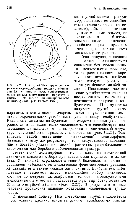 Если популяции хозяина и паразита эволюционируют совместно без селекционного вмешательства человека, то за размножением определенного штамма возбудителя следует увеличение доли устойчивых особей хозяина. Повышение частоты генов устойчивости снижает встречаемость генов вирулентности в популяции возбудителя. Преимущество получает другой штамм ведет к увеличению доли уже к нему возбудителя. Различные штаммы возбудителя по очереди широко распространяются и снижают свою численность, что способствует поддержанию динамического полиморфизма в генетической структуре популяций как паразита, так и хозяина (рис. 12.26). Фактически, такой естественно возникающий полиморфизм, приводит к тому же результату, что и искусственное смешивание в посевах различных линий растения, разрабатываемое агрономами для борьбы с заболеваниями культур.