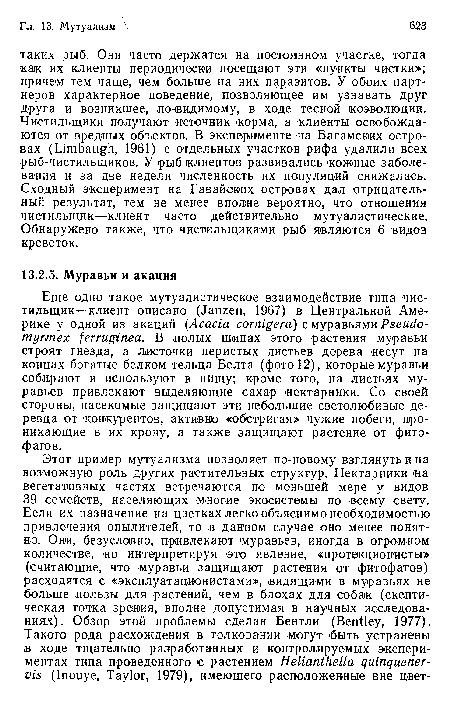 Еще одно такое мутуалистическое взаимодействие типа чистильщик—клиент описано (Janzen, 1967) в Центральной Америке у одной из акаций (Acacia cornígera) с муравьями Pseudo-myrmex ferruginea. В полых шипах этого растения муравьи строят гнезда, а листочки перистых листьев дерева несут на концах богатые белком тельца Белта (фото 12), которые муравьи собирают и используют в пищу; кроме того, на листьях муравьев привлекают выделяющие сахар нектарники. Со своей стороны, насекомые защищают эти небольшие светолюбивые деревца от конкурентов, активно «обстригая» чужие побеги, проникающие в их крону, а также защищают растение от фитофагов.