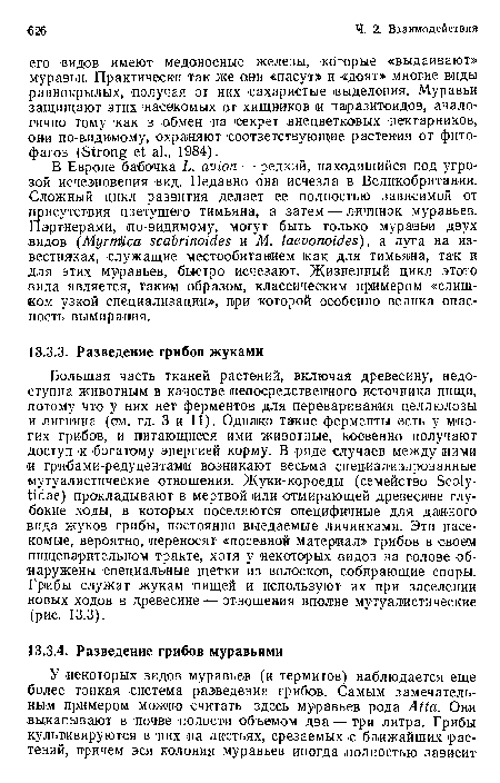 Большая часть тканей растений, включая древесину, недоступна животным в качестве ¡непосредственного источника пищи, потому что у них нет ферментов для переваривания целлюлозы и лигнина (ом. гл. 3 и 11). Однако такие ферменты есть у многих грибов, и питающиеся ими животные, косвенно получают доступ к богатому энергией корму. В ряде случаев между ними и грибами-редуцентами возникают весьма специализированные мутуалистические отношения. Жуки-короеды (семейство Scoly-tidae) прокладывают в мертвой или отмирающей древесине глубокие ходы, в которых поселяются специфичные для данного вида жуков грибы, постоянно выедаемые личинками. Эти насекомые, вероятно, переносят «посевной материал» грибов в своем пищеварительном тракте, хотя у некоторых видов на голове обнаружены специальные щетки из волосков, собирающие споры. Грибы служат жукам пищей и используют их при заселении новых ходов в древесине — отношения вполне мутуалистические (рис. 13.3).