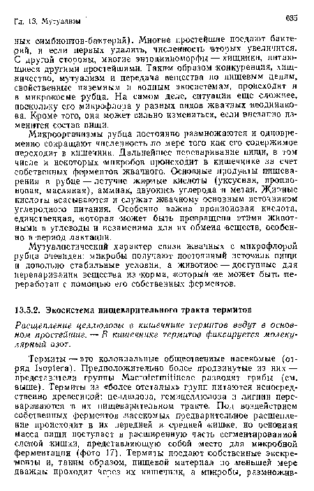 Расщепление целлюлозы в кишечнике термитов ведут в основном простейшие. — В кишечнике термитов фиксируется молекулярный азот.