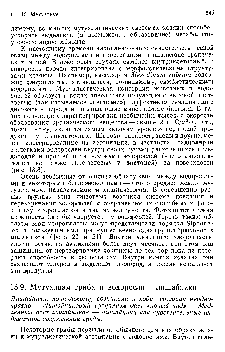 Лишайники, по-видимому, возникали в ходе эволюции неоднократно. — Лишайниковый мутуализм дает «новый вид». — Медленный рост лишайников. — Лишайники как чувствительные индикаторы загрязнения среды.