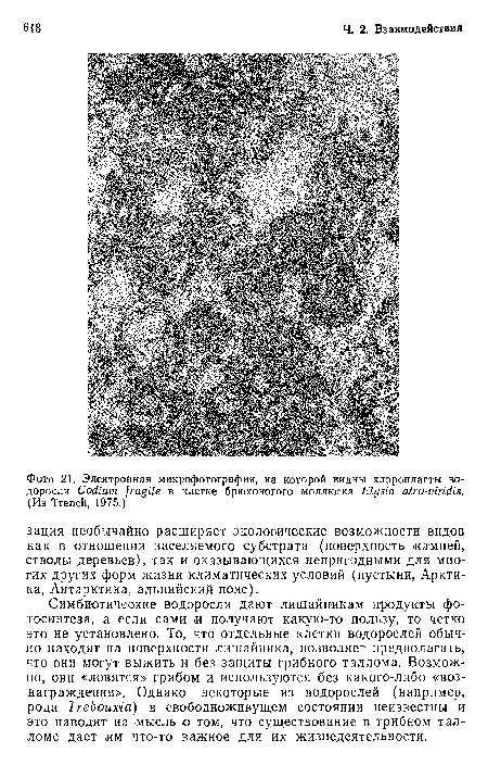 Симбиотические водоросли дают лишайникам продукты фотосинтеза, а если сами и получают какую-то пользу, то четко это не установлено. То, что отдельные клетки водорослей обычно находят на поверхности лишайника, позволяет предполагать, что они могут выжить и без защиты грибного таллома. Возможно, они «ловятся» грибом и используются без какого-либо «вознаграждения». Однако некоторые из водорослей (например,-рода Trebouxia) в свободноживущем состоянии неизвестны и это наводит на мысль о том, что существование в грибном талломе дает им что-то важное для их жизнедеятельности.