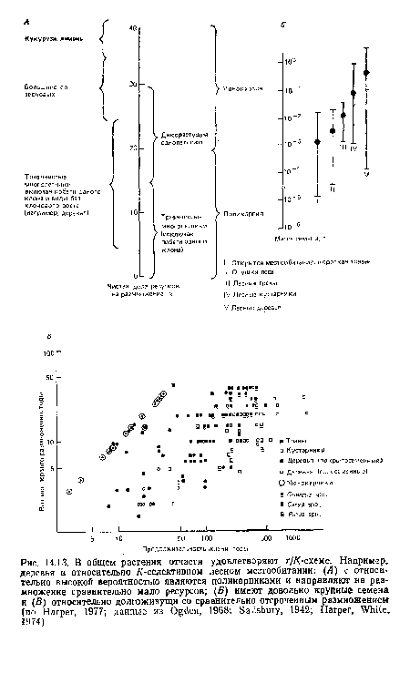 В общем растения отчасти удовлетворяют г ¡К-схеме. Например, деревья в относительно /С-селектнвном лесном местообитании
