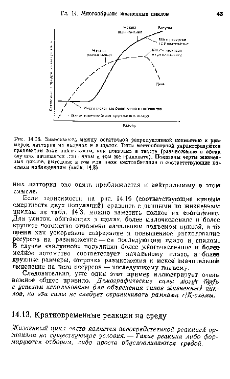 Если зависимости на рис. 14.16 (соответствующие кривым смертности двух популяций) сравнить с данными по жизйе НныМ циклам из табл. 14.3, можно заметить полное их совладение. Для улиток, обитающих в щелях, более малочисленное и более крупное потомство отражено начальным подъемом кривой, в то время как ускоренное созревание и повышенное расходование ресурсов на размножение — ее последующим плато и, спадом. В случае «валунной» популяции более многочисленное и более мелкое потомство соответствует начальному плато, а более крупные размеры, отсрочка размножения и менее значите льноё выделение на него ресурсов — последующему подъему.