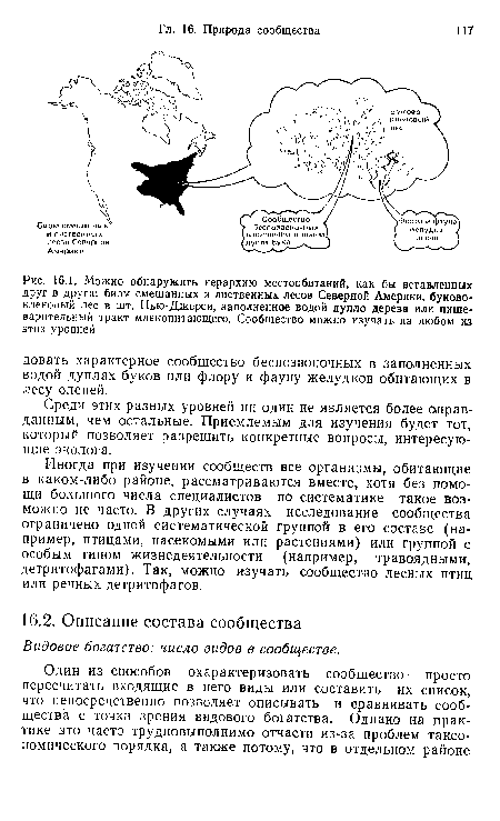 Можно обнаружить иерархию местообитаний, как бы вставленных друг в друга