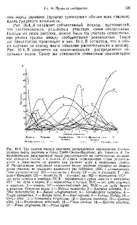 Л отражает субъективный подход, признающий, что растительность различных участков суши неодинакова. Исходя из этого рисунка, можно было бы считать существование резких границ между сообществами реальностью. Такое же впечатление производит и рис. 16.4,5 (отметим, что в обоих случаях за основу взято описание растительности в целом). 