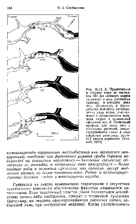 А. Продвижение в сторону моря за последние 100 лет соленого марша (пунктир) и леса (сплошная окраска) в эстуарии реки Фал (Корнуолл). Б. Вертикальная поясность распределения ряда видов, участвующих в сукцессиоином переходе марша в заливаемый приливом лес. В. Почвенный профиль для этого леса с остатками растений, демонстрирующими смеиу в ходе сукцессии пионерных растений марша деревьями (Ran-well, 1974)