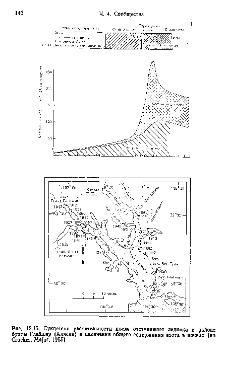 Сукцессия растительности после отступления ледника в районе бухты Глейшер (Аляска) и изменения общего содержания азота в почвах (но Crocker, Major, 1955)