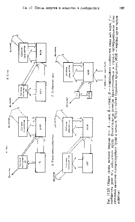 Общие схемы потоков энергии для