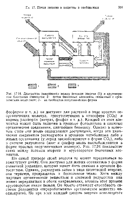Диаграмма зависимости между потоком энергии (1) и круговоротом биогенных элементов; 2 — поток биогенных элементов, связанных с органическим веществом; 3 — их свободная неорганическая форма
