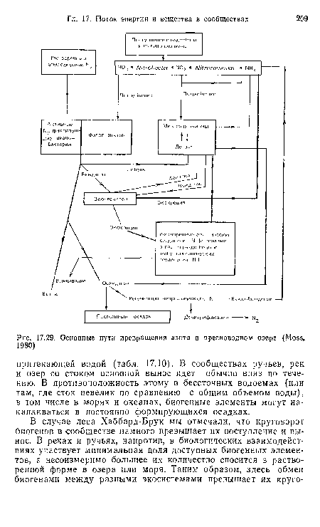 Основные пути превращения азота в пресноводном озере (Moss, 1980)