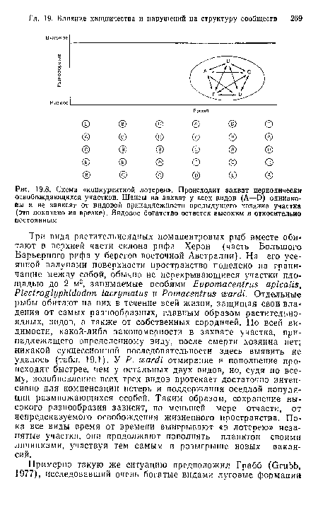 Схема «конкурентной лотереи». Происходит захват периодически освобождающихся участков. Шансы на захват у всех видов (А—D) одинаковы н не зависят от видовой принадлежности предыдущего хозяина участка (это показано на врезке). Видовое богатство остается высоким и относительно постоянным