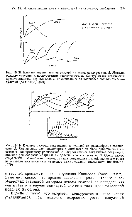 Влияние неравновесных условий на исход конкуренции. А. Моделирование ситуации с конкурентным исключением. Б. Конкурентное исключение предотвращается периодическим, не зависящим от плотности сокращением популяций (по Huston, 1979)