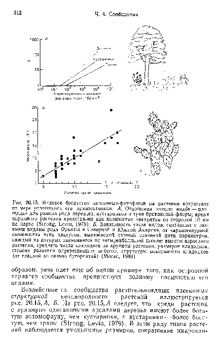 Видовое богатство насекомых-фитофагов на растении возрастает по мере усложнения его архитектоники. А. Отношения «число видов-—площадь» для разных рода деревьев, кустарников и трав британской флоры; ареал кормового растения представлен как количество квадратов со стороной 10 км на карте (Strong, Levin, 1979). Б. Зависимость числа видов, связанных с разными видами рода Opuntia в Северной и Южной Америке, от «архитектурной сложности» этих кактусов, выражаемой суммой значений пяти параметров, каждый из которых оценивается по четырехбалльной шкале