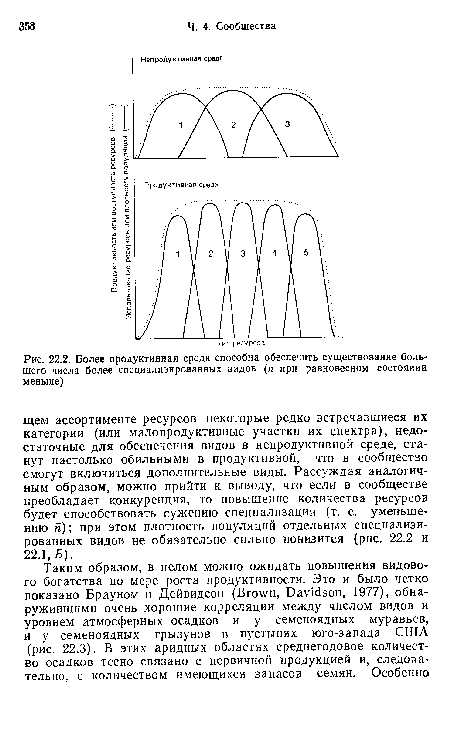 Более продуктивная среда способна обеспечить существование большего числа более специализированных видов (п при равновесном состоянии меньше)