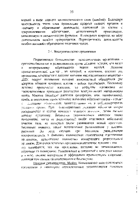 Подавляющее большинство одноклеточных организмов -существа бесполые и размножаются путем деления клетки, что ведет к непрерывному образованию новых особей. Деление прокариотической клетки , из которой, в основном, состоят эти организмы, начинается с деления митозом наследственного вещества -ДНК, вокруг половинок которой впоследствии образуются две ядерные области дочерних клеток - новых организмов. Поскольку деление происходит митозом, то дочерние организмы по наследственным признакам полностью воспроизводят материнскую особь. Многие бесполые растения (водоросли, мхи, папоротники), грибы и некоторые одноклеточные животные образуют споры - клетки с плотным и оболочками, защищающими их к неблагоприятных условиях средь!. При олагоприятных условиях ооолочка споры раскрывается и клетка начинает дслиться митозом, давая начало новому организму. Бесполым размножением является также почкование, когда от родительской особи отделяется небольшой участок тела, из которого затем развивается новый организм. Бесполым является также вегетативное размножение у высших растений. Во всех случаях при бесполом размножении воспроизводятся в больших количествах генетически идентичные организмы, практически полностью копирующие родительский организм. Для одноклеточных организмов клеточное деление - это акт выживания, так как организмы, которые не размножаются, обречены на вымирание. Размножение и связанный с ним рост вносят в клетку свежие материалы и эффективно препятствуют старению, сообщая тем самым ей потенциальное бессмерше.