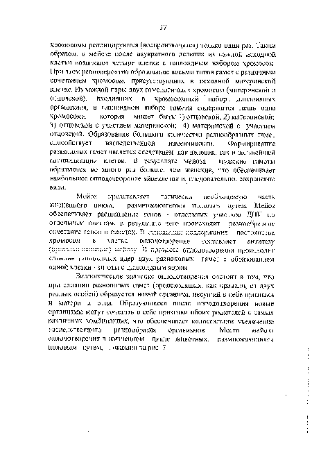 Биологическое значение оплодотворения состоит в том, что при слиянии разнополых гамет (происходящих, как правило, от двух разных особей) образуется новый организм, несущий в себе признаки и матери и отца. Образующиеся после оплодотворения новые организмы могут сочетать в себе признаки обоих родителей в самых различных комбинациях, что обеспечивает колоссальное увеличение наследственного разнообразия организмов. Место мейоза оплодотворения в жизненном цикле животных, размножающихся половым путём, показано на рис. /.