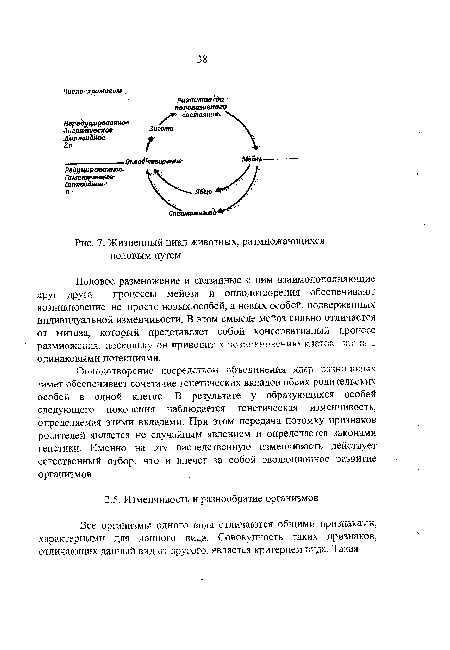 Жизненный цикл животных, размножающихся половым путем