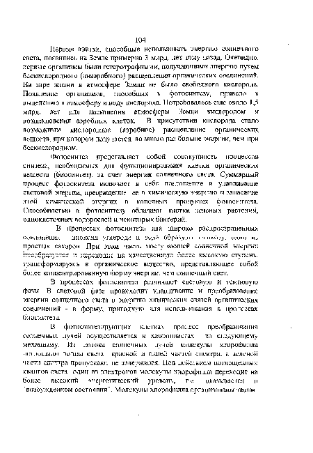 В процессах фотосинтеза различают световую и темновую фазы. В световой фазе происходит улавливание и преобразование энергии солнечного света в энергию химических связей органических соединений - в форму, пригодную для использования в процессах биосинтеза.