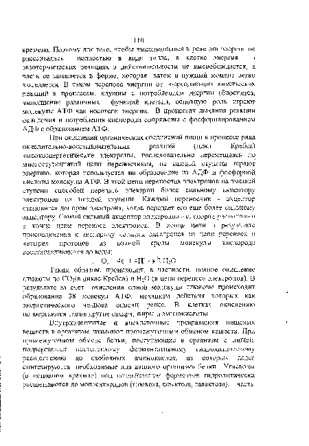 Таким образом, происходит, в частности, полное окисление глюкозы до С02(в цикле Кребса) и Н20 (в цепи переноса электронов). В результате за счет окисления одной молекулы глюкозы происходит образование 38 молекул АТФ, механизм действия которых как энергетического челнока описан ранее. В клетках окислению подвергаются также другие сахара, жиры и аминокислоты.