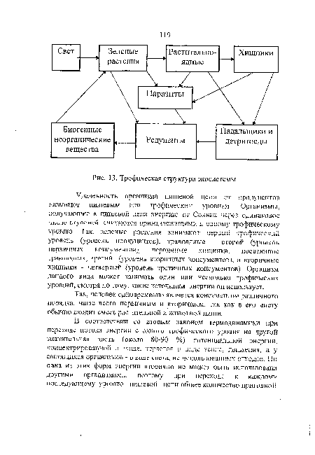 Трофическая структура экосистемы