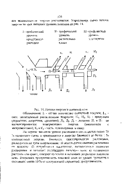 Потоки энергии в пищевой цепи Обозначения