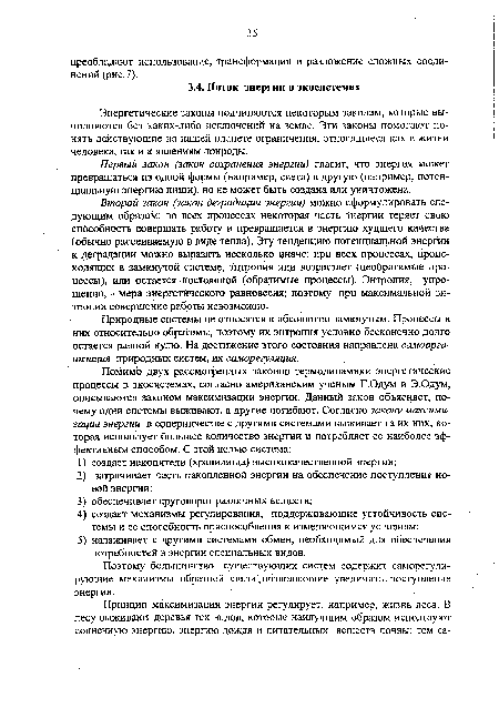 Первый закон (закон сохранения энергии) гласит, что энергия может превращаться из одной формы (например, света) в другую (например, потенциальную энергию пищи), но не может быть создана или уничтожена.