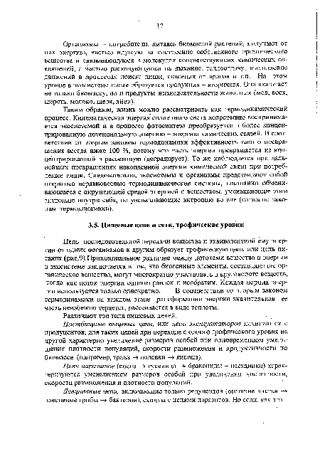 Цепи паразитов (сосна —> гусеница —> бракониды - наездники) характеризуются уменьшением размеров особей при увеличении численности, скорости размножения и плотности популяций.