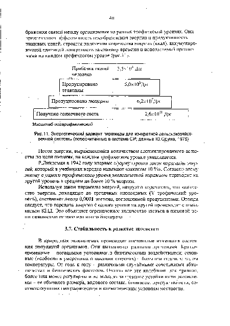 Энергетический вариант пирамиды для конкретной сельскохозяйственной .системы (пересчитанные в системе СИ; данные Ю.Одума, 1975)