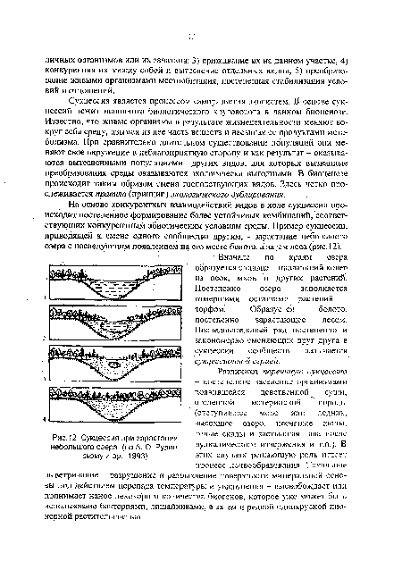На основе конкурентных взаимодействий видов в ходе сукцессии происходит постепенное формирование более устойчивых комбинаций, соответствующих конкурентным абиотическим условиям среды. Пример сукцессии, приводящей к смене одного сообщества другим, - зарастание небольшого озера с последующим появлением на его месте болота, а затем леса (рис. 12).