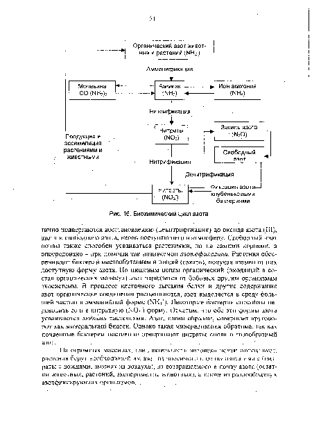 Реферат: Биохимический цикл азота