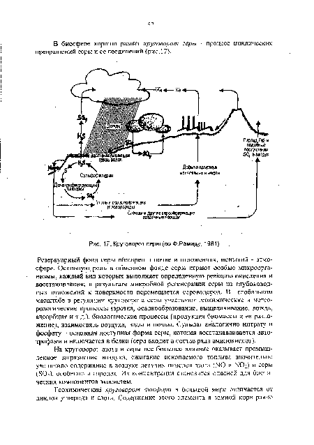 Круговорот серы (по Ф.Рамаду, 1981)