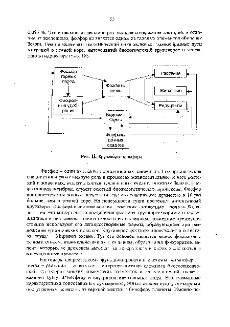 Круговорот фосфора