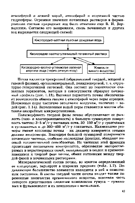 Почва является трехфазной (образованной твердой, жидкой и газовой фазами), органоминеральной, полидисперсной, т. е. струк-турно-гетерогенной системой. Она состоит из генетически связанных горизонтов, которые в совокупности образуют почвенный профиль (рис. 1.13). Высокая пористость почвы обеспечивает возможность обмена газами с атмосферой через поры аэрации. Почвенные поры частично заполнены воздухом, частично - водой (рис. 1.14). Заполненные водой поры становятся местом обитания анаэробных микроорганизмов.