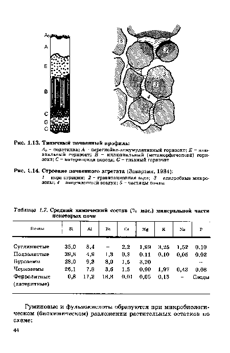 Строение почвенного агрегата (Заварзин, 1984)