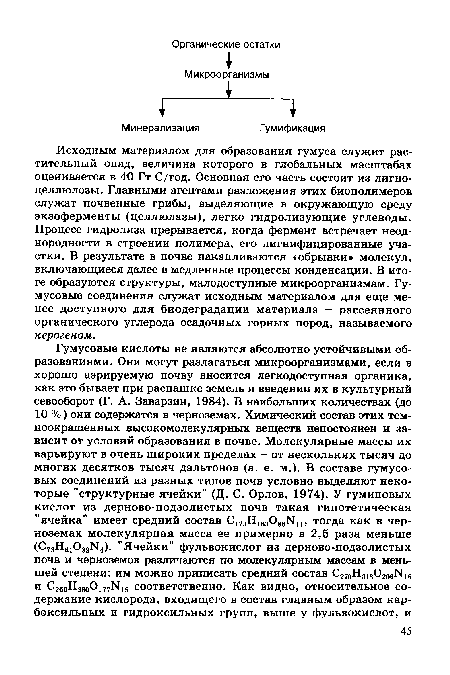 Исходным материалом для образования гумуса служит растительный опад, величина которого в глобальных масштабах оценивается в 40 Гт С/год. Основная его часть состоит из лигно-целлюлозы. Главными агентами разложения этих биополимеров служат почвенные грибы, выделяющие в окружающую среду экзоферменты (целлюлазы), легко гидролизующие углеводы. Процесс гидролиза прерывается, когда фермент встречает неоднородности в строении полимера, его лигнифицированные участки. В результате в почве накапливаются «обрывки» молекул, включающиеся далее в медленные процессы конденсации. В итоге образуются структуры, малодоступные микроорганизмам. Гумусовые соединения служат исходным материалом для еще менее доступного для биодеградации материала - рассеянного органического углерода осадочных горных пород, называемого керогеном.