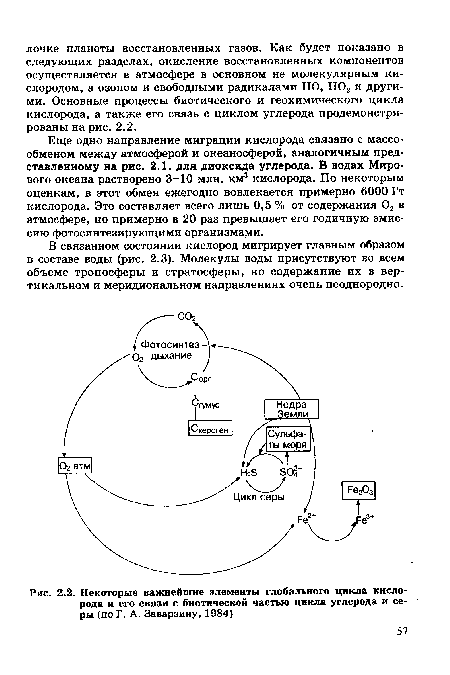 Еще одно направление миграции кислорода связано с массо-обменом между атмосферой и океаносферой, аналогичным представленному на рис. 2.1. для диоксида углерода. В водах Мирового океана растворено 3-10 млн. км3 кислорода. По некоторым оценкам, в этот обмен ежегодно вовлекается примерно 6000 Гт кислорода. Это составляет всего лишь 0,5 % от содержания 02 в атмосфере, но примерно в 20 раз превышает его годичную эмиссию фотосинтезирующими организмами.