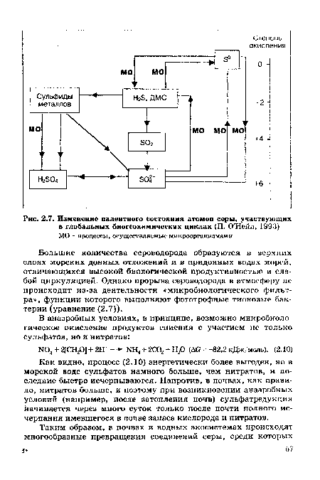 Как видно, процесс (2.10) энергетически более выгоден, но в морской воде сульфатов намного больше, чем нитратов, и последние быстро исчерпываются. Напротив, в почвах, как правило, нитратов больше, и поэтому при возникновении анаэробных условий (например, после затопления почв) сульфатредукция начинается через много суток только после почти полного исчерпания имевшегося в почве запаса кислорода и нитратов.