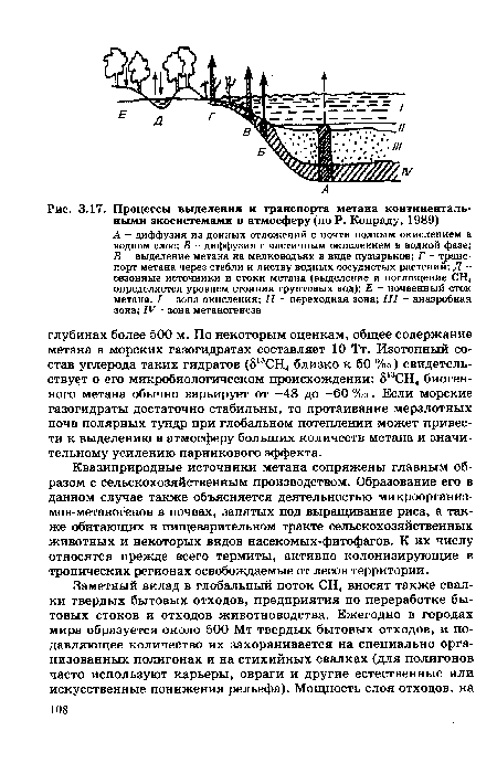 Квазиприродные источники метана сопряжены главным образом с сельскохозяйственным производством. Образование его в данном случае также объясняется деятельностью микроорганиз-мов-метаногенов в почвах, занятых под выращивание риса, а также обитающих в пищеварительном тракте сельскохозяйственных животных и некоторых видов насекомых-фитофагов. К их числу относятся прежде всего термиты, активно колонизирующие в тропических регионах освобождаемые от лесов территории.