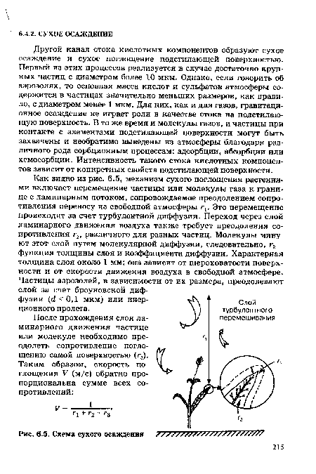 После прохождения слоя ламинарного движения частице или молекуле необходимо преодолеть сопротивление поглощению самой поверхностью (г3).