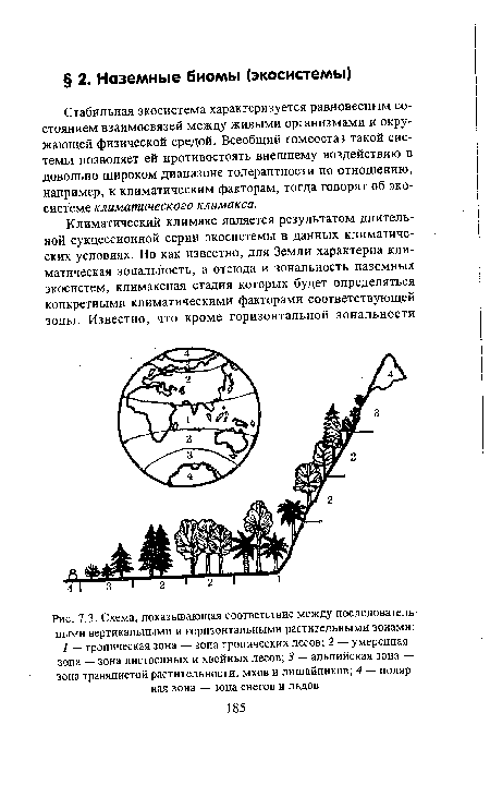 Схема, показывающая соответствие между последовательными вертикальными и горизонтальными растительными зонами