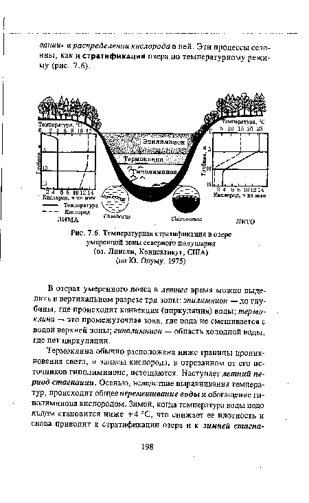 Температурная стратификация в озере умеренной зоны северного полушария (оз. Линсли, Коннектикут, США)