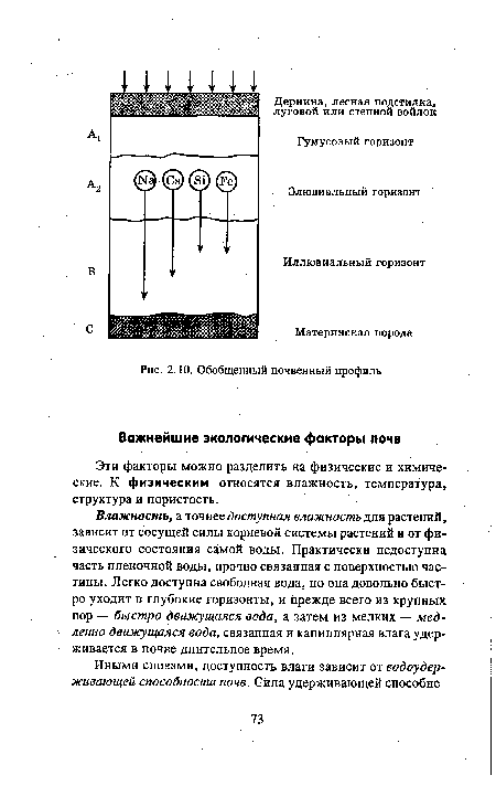 Обобщенный почвенный профиль