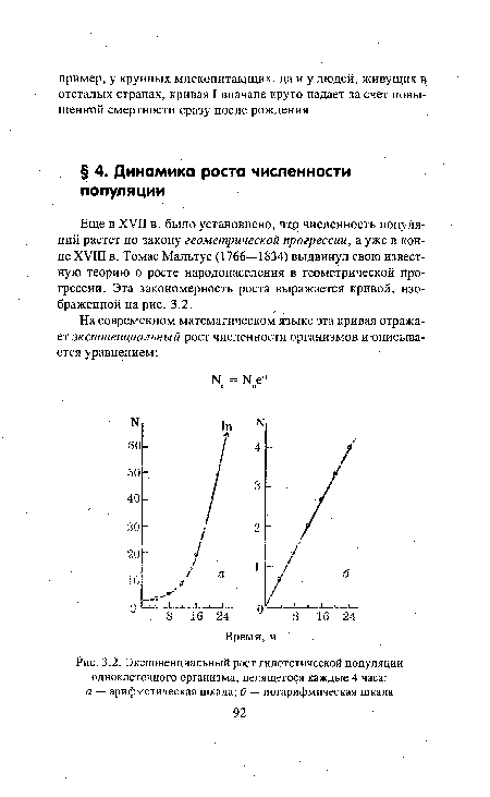 Экспоненциальный рост гипотетической популяции одноклеточного организма, делящегося каждые 4 часа