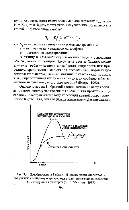 Преобразование 1-образной кривой роста численности популяции в 8-образную кривую при ограничивающем воздействии лимитирующих факторов (по Т. Миллеру, 1993)